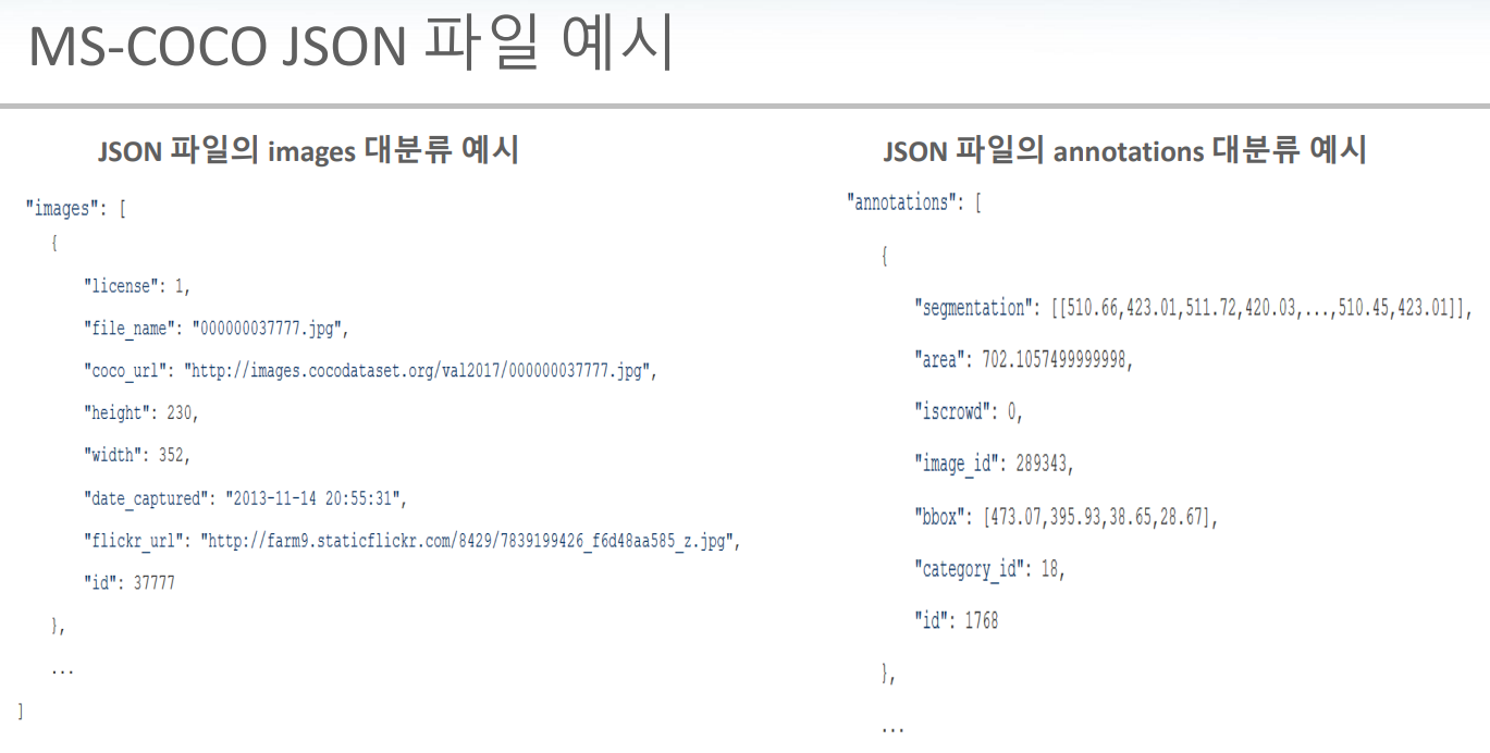 MS-COCO 파일 예시