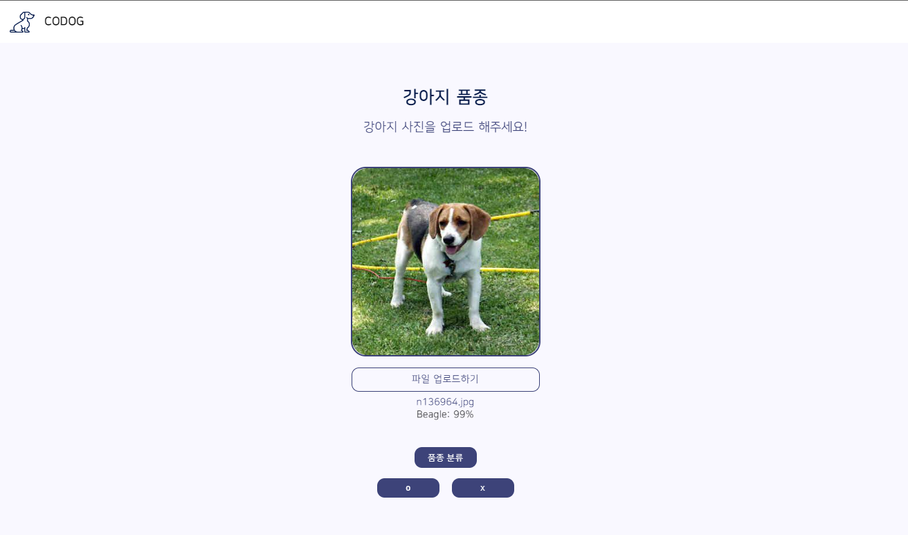 품종 분류